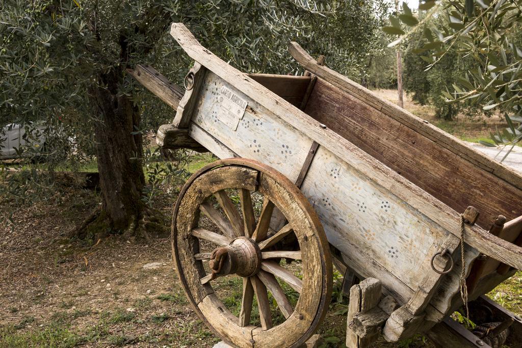Agriturismo La Romagnana Πιστόια Εξωτερικό φωτογραφία
