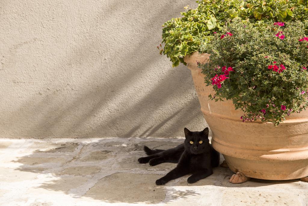 Agriturismo La Romagnana Πιστόια Εξωτερικό φωτογραφία