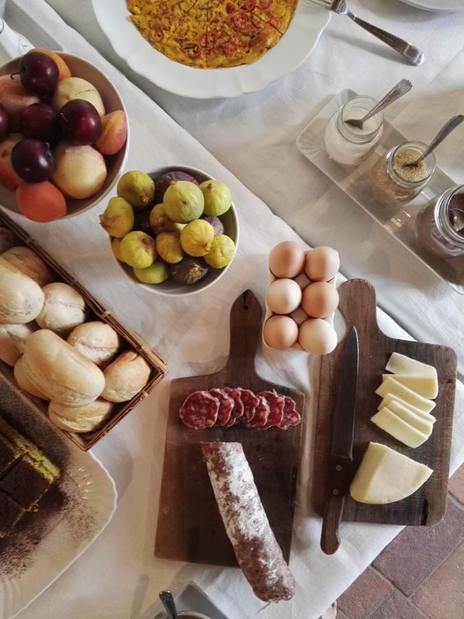 Agriturismo La Romagnana Πιστόια Εξωτερικό φωτογραφία