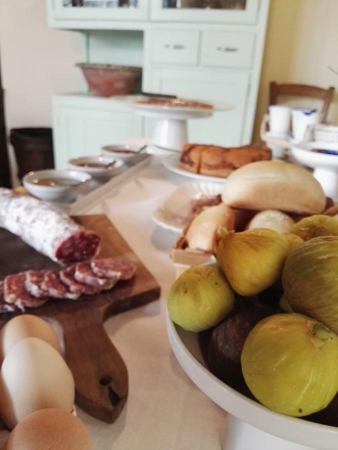Agriturismo La Romagnana Πιστόια Εξωτερικό φωτογραφία
